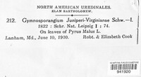 Gymnosporangium juniperi-virginianae image
